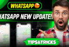 ucpro91 whatsapp