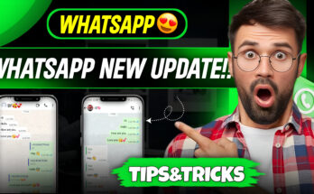 ucpro91 whatsapp