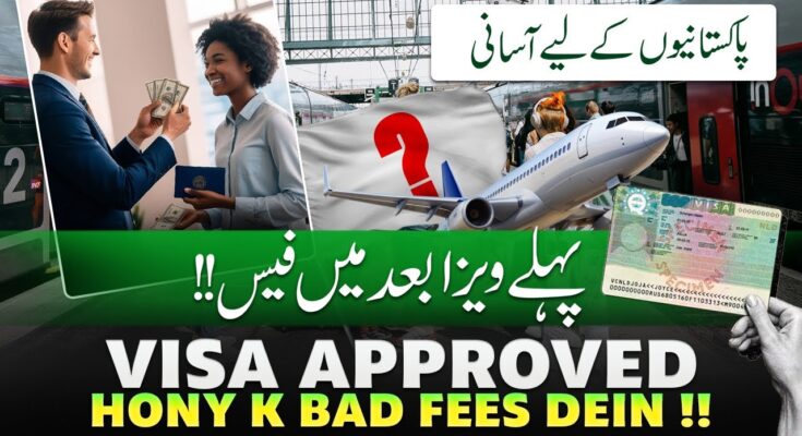 ucpro91 visa process